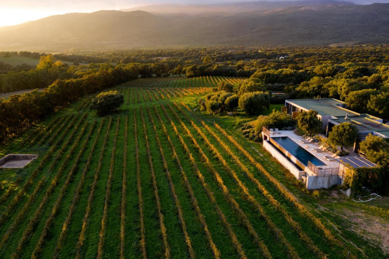 Domaine De Peretti Della Rocca 호텔 피가리 외부 사진